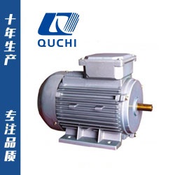 YS系列電機(jī)