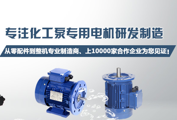 化工泵電機